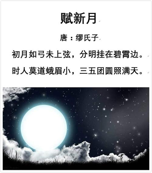 新月如什么残阳如什么大雨如什么 新月如什么