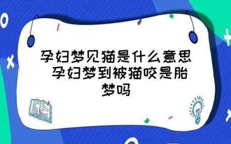 孕妇梦见被猫咬了是什么意思-梦见被猫咬了是什么意思