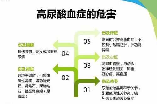 尿酸536严重到什么程度