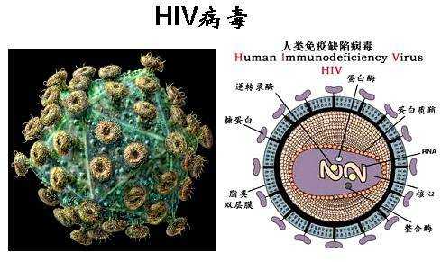 最近的病毒叫什么病