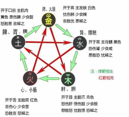 言属于五行属什么,言字五行属木还是火 