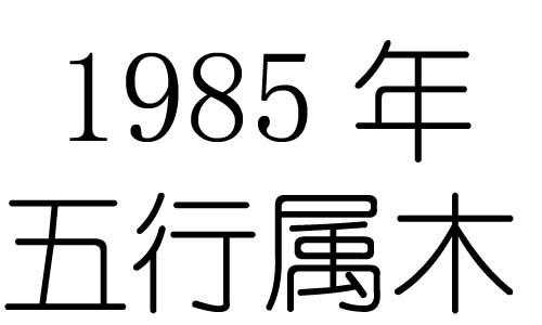 包含1985年什么命的词条