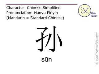  sun代表什么「孙代表什么数字」