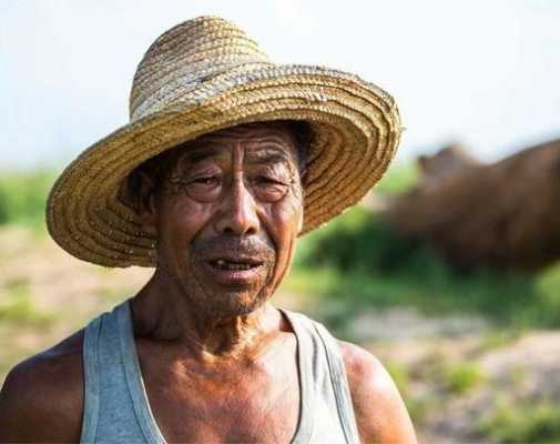  什么地哭着「大树被风刮得痛苦地摇着头什么地哭着」