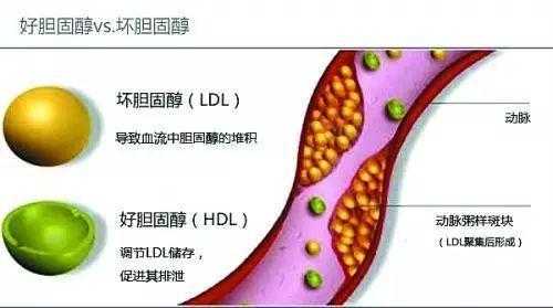  黏稠是什么意思「血脂黏稠是什么意思」