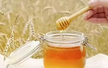 蜂蜜对胃病有什么好处,胃病可以喝蜂蜜吗 