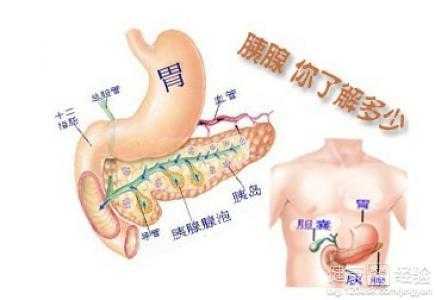 胰腺炎有什么症状表现,胰腺不舒服早期症状 