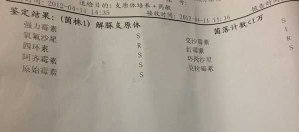 什么是支原体阳性是什么意思 什么是支原体阳性