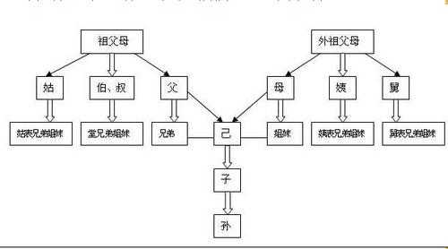 奶奶跟我的关系叫什么_奶奶跟我的关系怎么填写