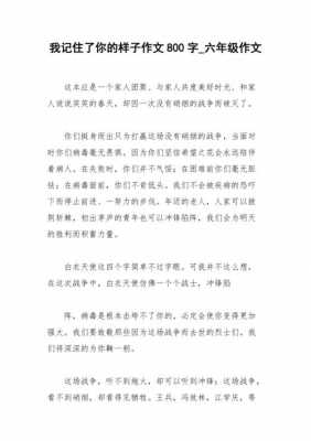 你的样子是什么意思