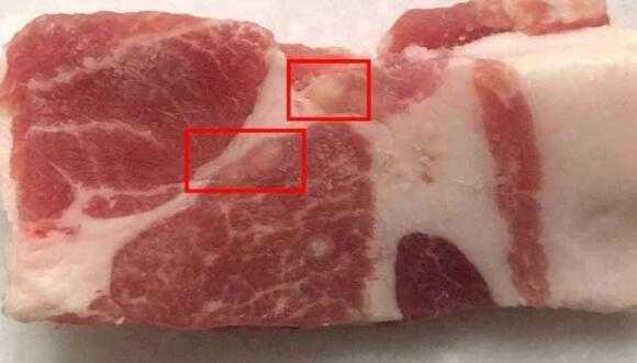  什么是米猪肉「米猪肉和脂肪粒区别图」