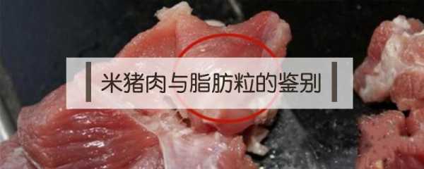  什么是米猪肉「米猪肉和脂肪粒区别图」