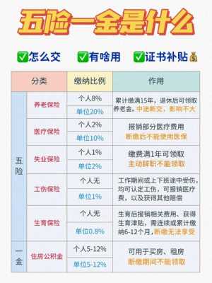 五险一金的一金是什么（五险一金的一金是什么金）