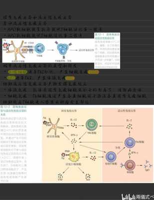 什么是适应性-什么是适应