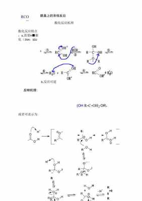 酯化反应有什么特点