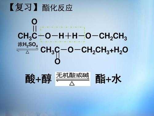 酯化反应有什么特点