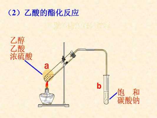 酯化反应有什么特点