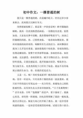 一棵什么的树作文800字