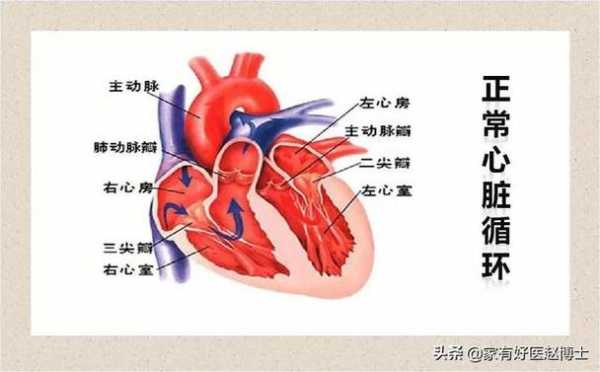  左室舒张功能障碍1级什么意思「二尖瓣三尖瓣轻度反流说明什么」