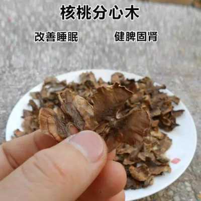 分心木可以和什么一起泡