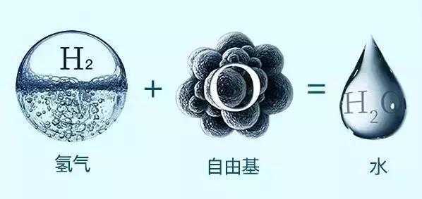 a活性氢 活性氢是什么