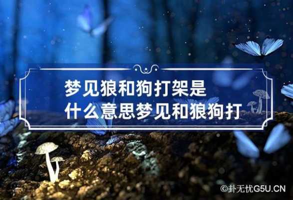 梦见狼和狗是什么意思,梦见狼狗是什么意思有什么预兆 