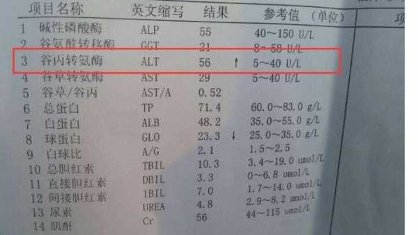 转氨酶为什么会高,转氨酶为什么会高一点 