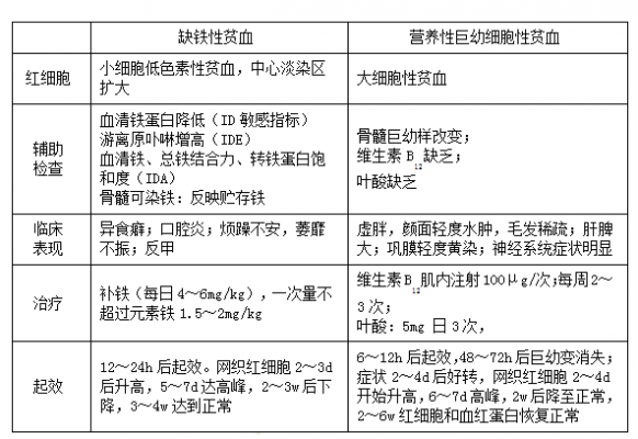 营养性贫血是什么意思,改善营养性贫血是什么意思 