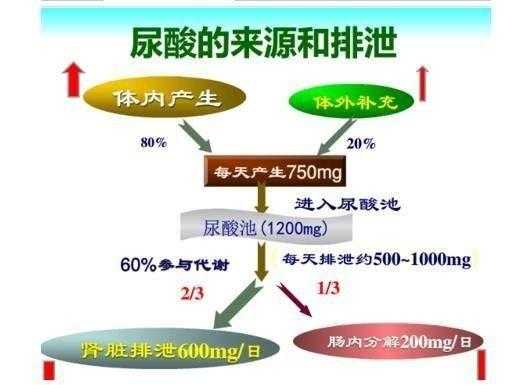 尿酸高属于什么科室-尿酸高属于什么科