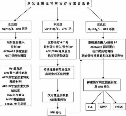 什么是膜性肾病,什么是膜性肾病,怎么治疗? 