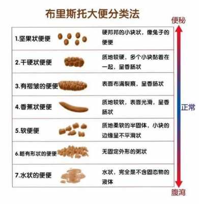  不爱大便是什么原因「不爱上大便」