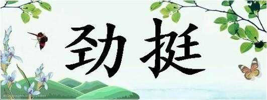 劲挺是什么意思 禁是什么意思