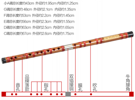  初学者笛子买什么调「初学笛子买什么调的」