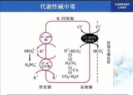 碱中毒会自愈吗 为什么会碱中毒