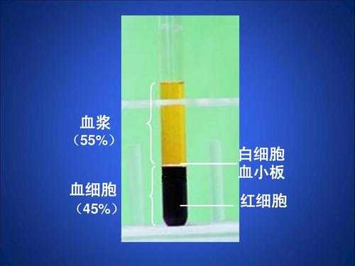 人体最小的细胞是什么,白细胞红细胞-人体最小的细胞是什么