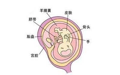 胎盘位置低是什么原因能顺产吗-胎盘位置低是什么原因