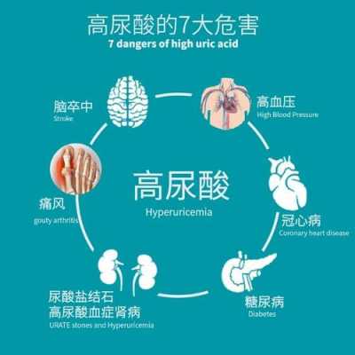 尿酸指的是什么