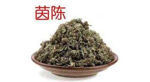  茵陈治什么病「茵陈治什么病请回答」