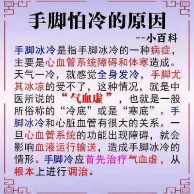 手脚冰冷要补什么