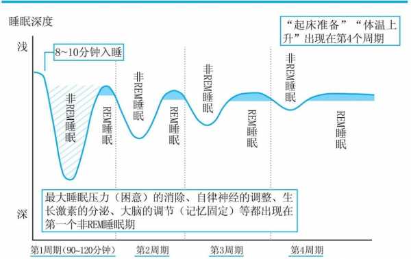 睡眠时间过长是什么原因（嗜睡是抑郁的哪个阶段）