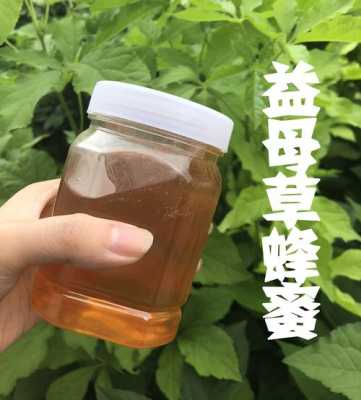 什么是益母草（什么是益母草蜂蜜）