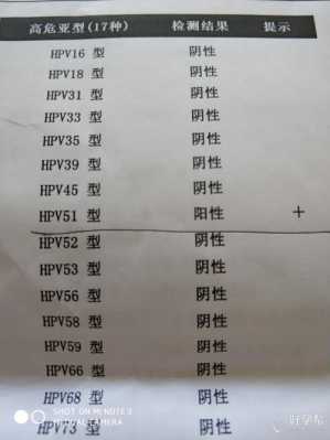 hpv51是什么意思（hpv是什么意思）