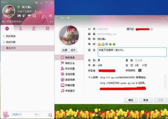 网络小说yy是什么意思