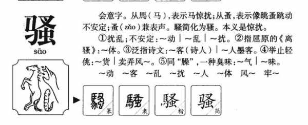  骚读什么「骚读什么拼音怎么读音」