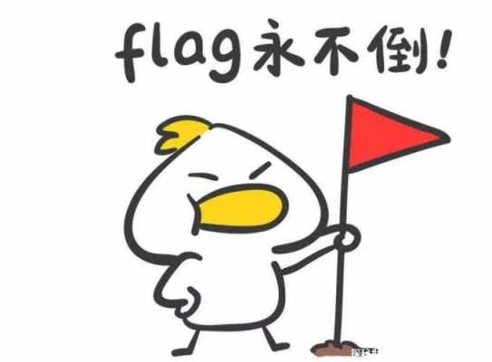 fl什么意思（flag什么意思）