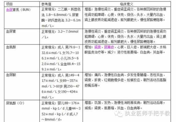 检查肾功能要多少费用 检查肝肾挂什么科