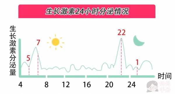 生长激素是什么时候分泌的 生长激素是什么