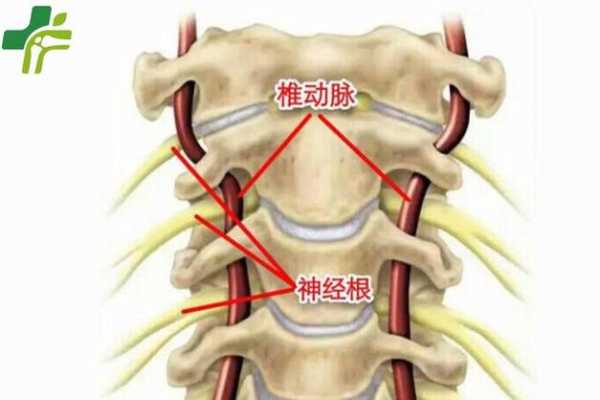 颈椎压迫交感神经怎么治疗最好-颈椎压迫交感神经有什么症状