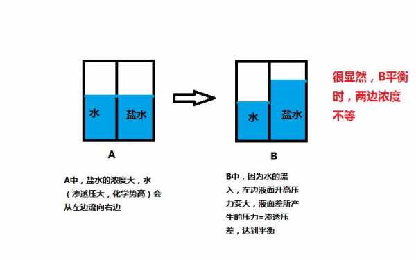 渗透压与什么有关高中生物