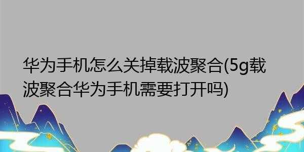 聚合什么意思_红米手机5g载波聚合什么意思